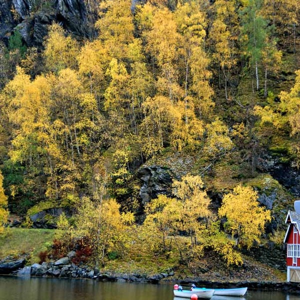 Flam Aurlandsfjord Norway Scandinavia 12"x18" Print