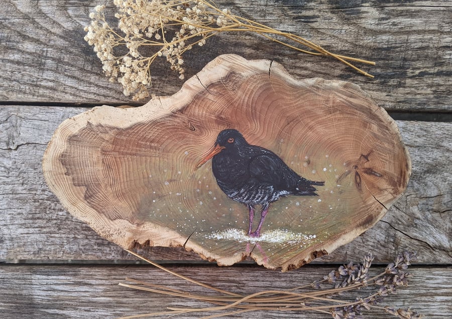 Original oyster catcher painting on reclaimed and repurposed wood