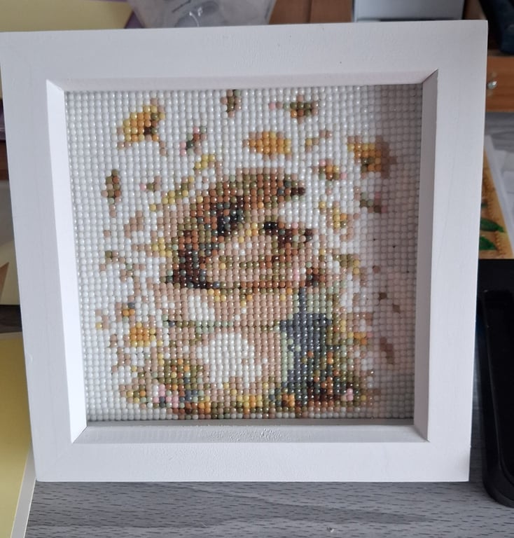 Diamond Art Painting 
