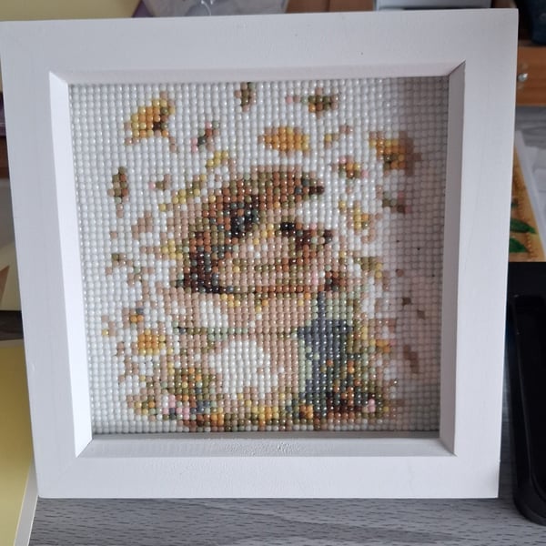 Diamond Art Painting 