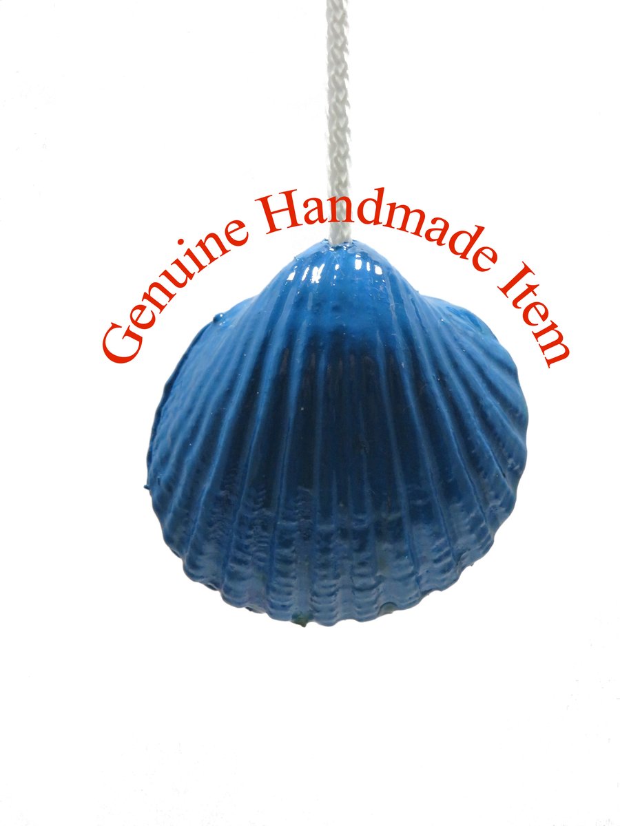 OOAK Nautical-theme light pull handle made of beach found shell in cerulean blue