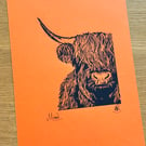 Highland Cow linoprint. Hand printed original. Black ink on A4 orange card.