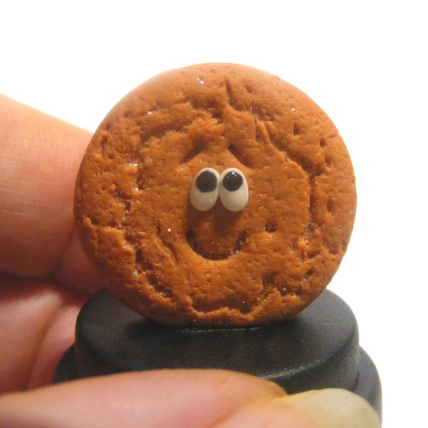 Pet Gingernut Biscuit, Retro food, Ginger biscuit, Gingersnap, Red head,