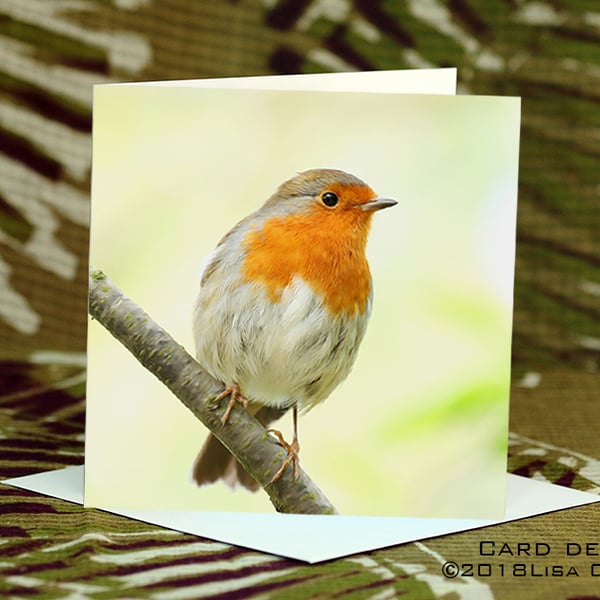 Exclusive Handmade Garden Robin Card on Archive Photo Paper