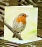 Exclusive Handmade Garden Robin Card on Archive Photo Paper - Image 1