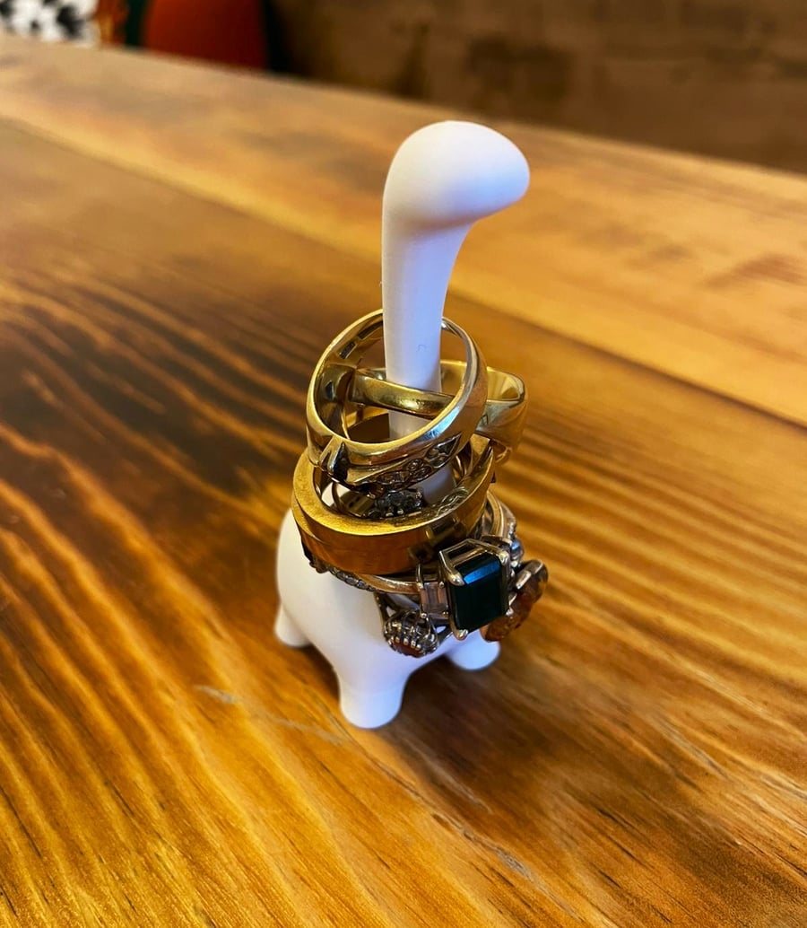 Dinosaur Ring Holder 