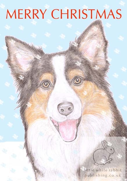 Holly the Border Collie - Christmas Card