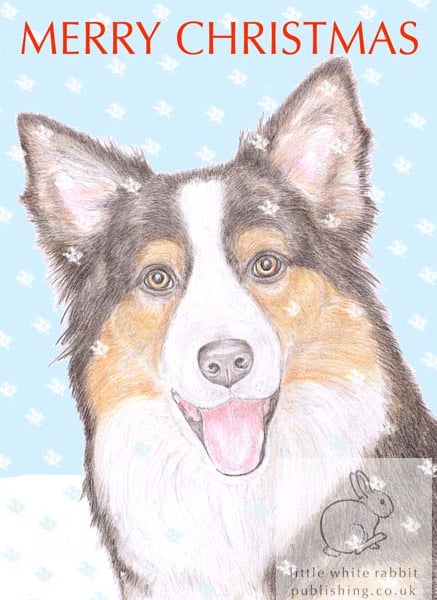 Holly the Border Collie - Christmas Card