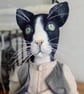 Thomas Marmaduke Cat 