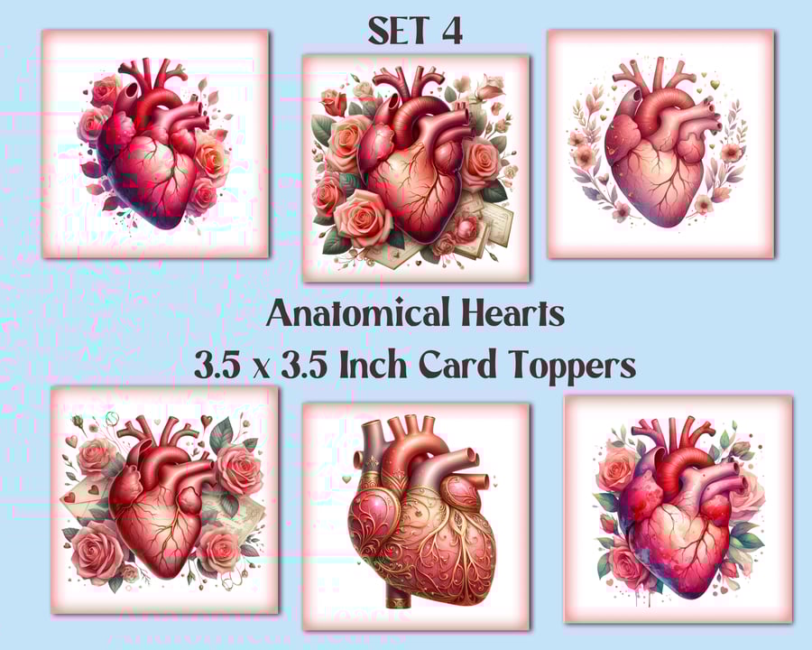Anatomical Hearts Square Card Toppers Valentine's Card Making, Tags, Scrapbooks