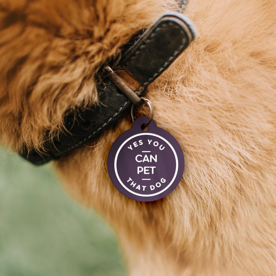 Yes, You Can Pet That Dog - Text Custom Dog ID Collar Tag: Funny Pet Safety Acce