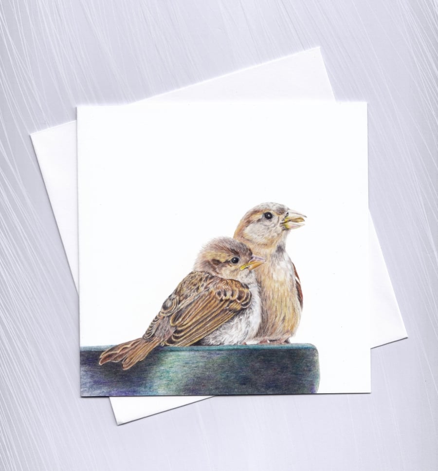 Sparrows Greetings Card, Garden Birds Card
