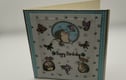 Hedgehog Cards 