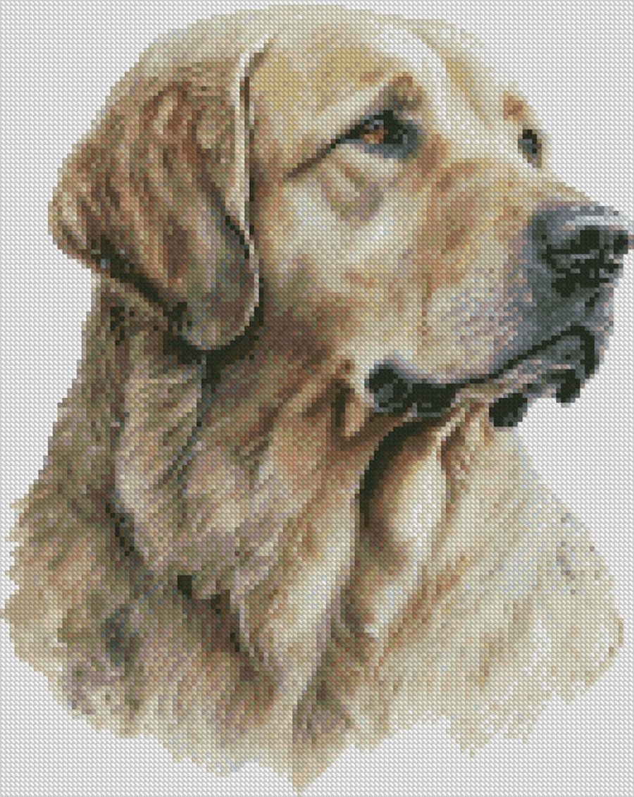 Complete Counted Cross Stitch Kit Golden Retriever Dog 1 Small TDCC DGOL01
