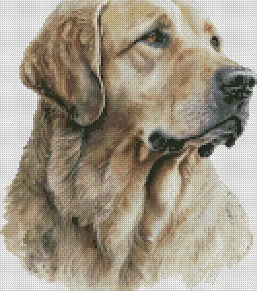 Complete Counted Cross Stitch Kit Golden Retriever Dog 1 Small TDCC DGOL01