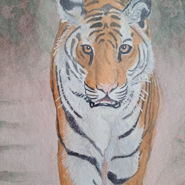 A strolling Tiger in Watercolour. An Original Watercolour