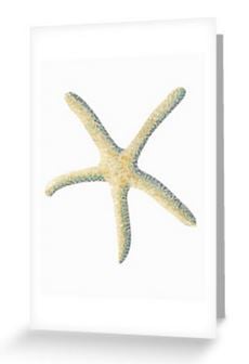 Starfish design blank greeting card