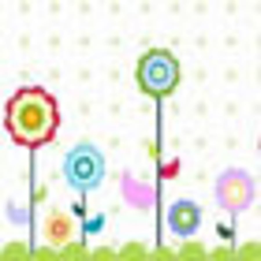Raspberry Designs