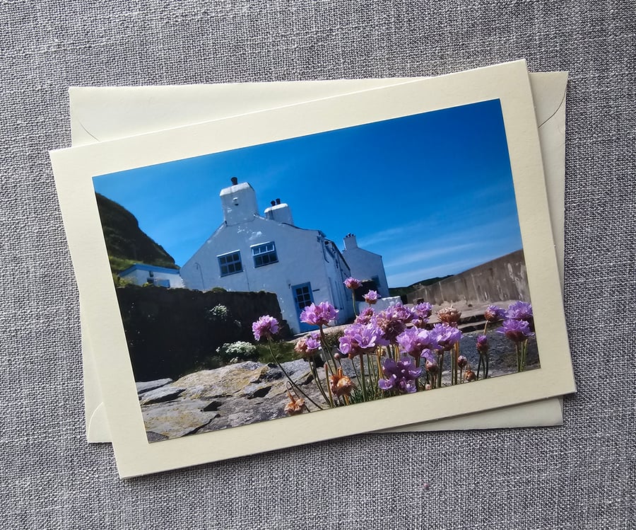 Sea Thrift and Cottages Morfa Nefyn Photographic Card 7" x 5"
