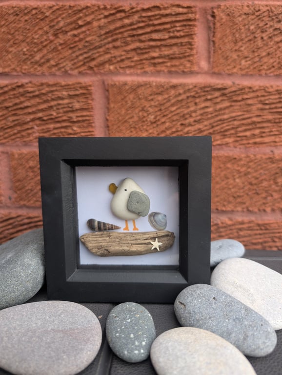 Seagull stone and seaglass white box frame 