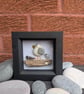 Seagull stone and seaglass white box frame 