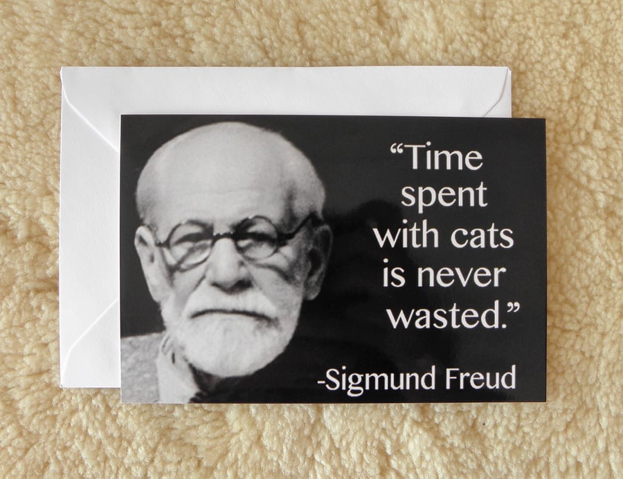 Time Spent With Cats Is Never Wasted Card