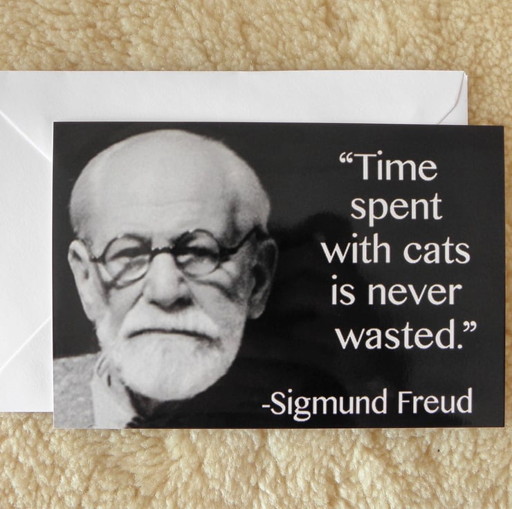 Gifts for Cat Lovers