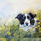 Border Collie in Wildflowers, Charming Dog Art Print 5"x7" Matte Print