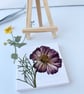 Real Pressed Flower Mini Canvas on Wooden Easel, Real Cosmos, Mini Art - Image 4