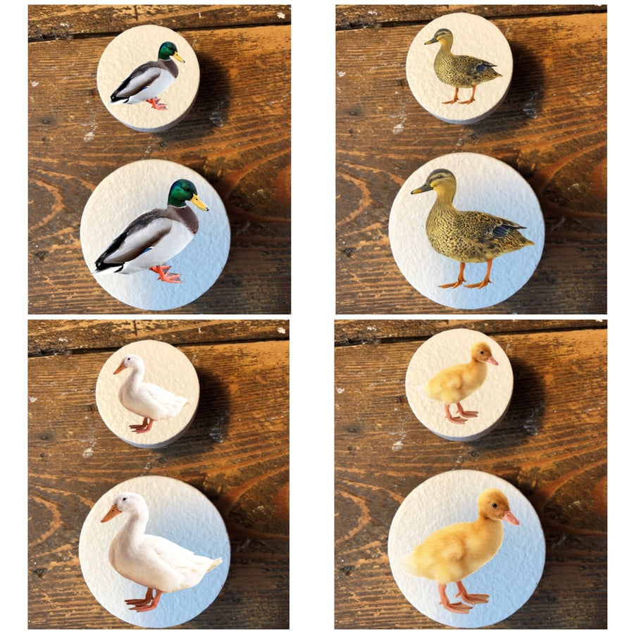 Handmade Ducks Chick Mallard pine door knobs wardrobe drawer handles decoupaged 