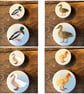 Handmade Ducks Chick Mallard pine door knobs wardrobe drawer handles decoupaged 