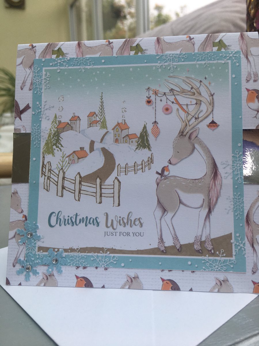 Cute Reindeer and Robin Christmas wishes card