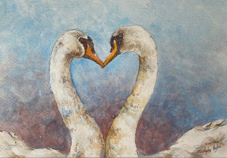 Swan Love . Original watercolour by Christopher Hughes 