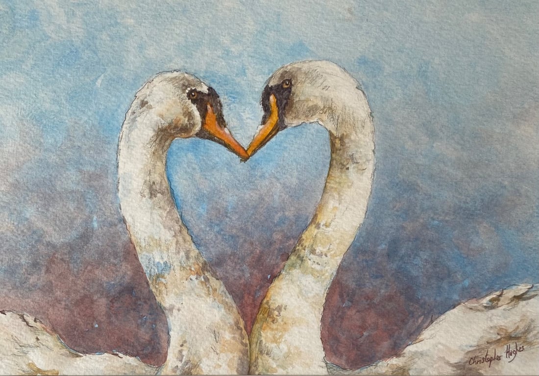 Swan Love . Original watercolour by Christopher Hughes 