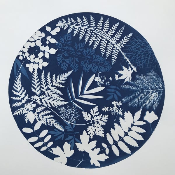 Original Art,Nature inspired Art, Botanical Art, Art as a gift.