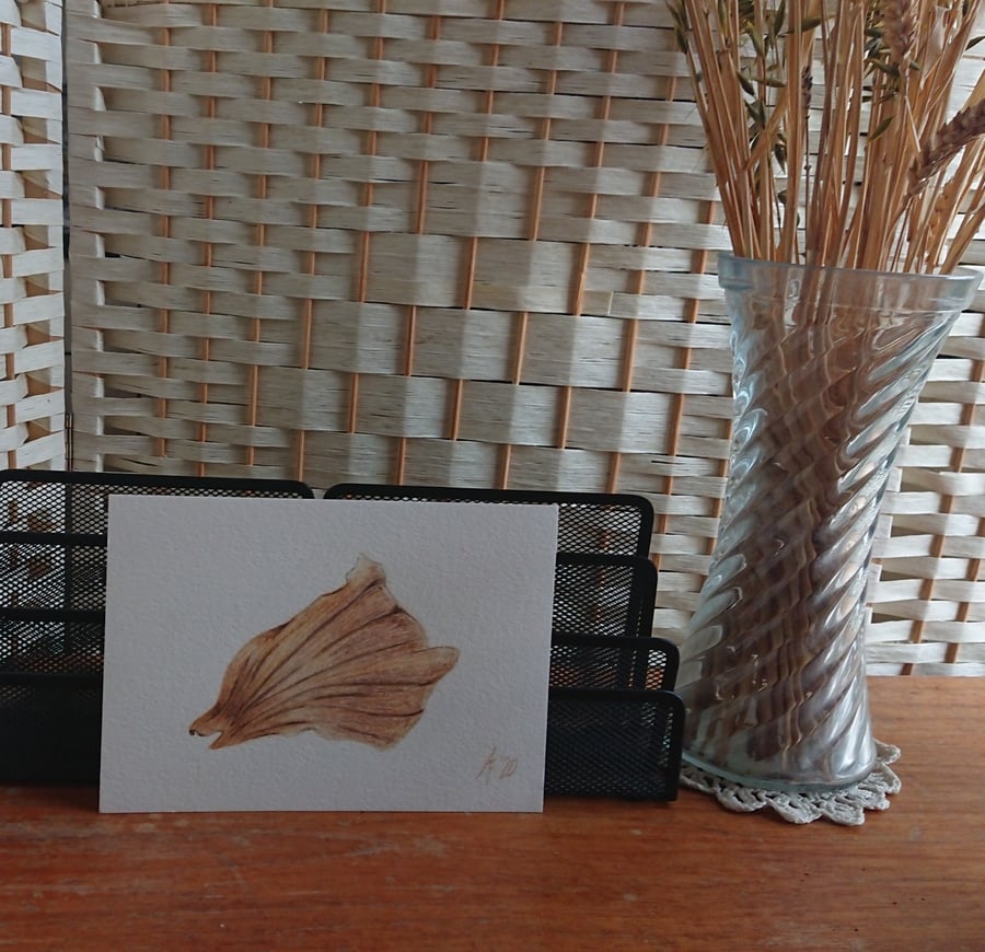 Handmade vegetable art, Onion Skin drawing, original unmounted artwork