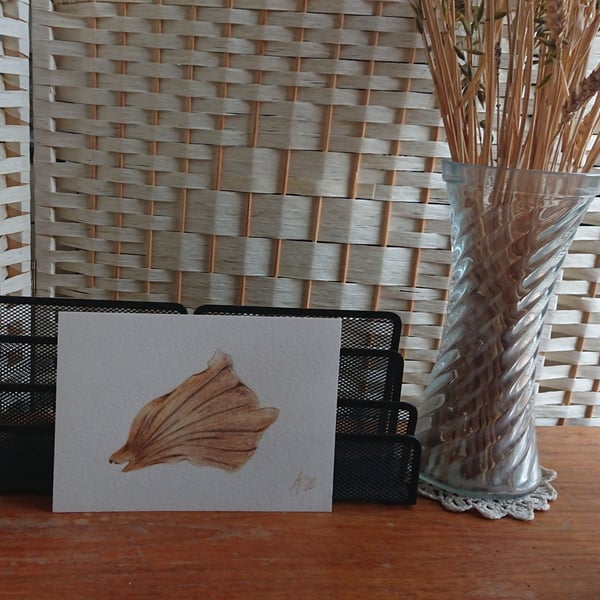 Handmade vegetable art, Onion Skin drawing, original unmounted artwork