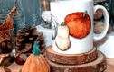 Pumpkin Patch