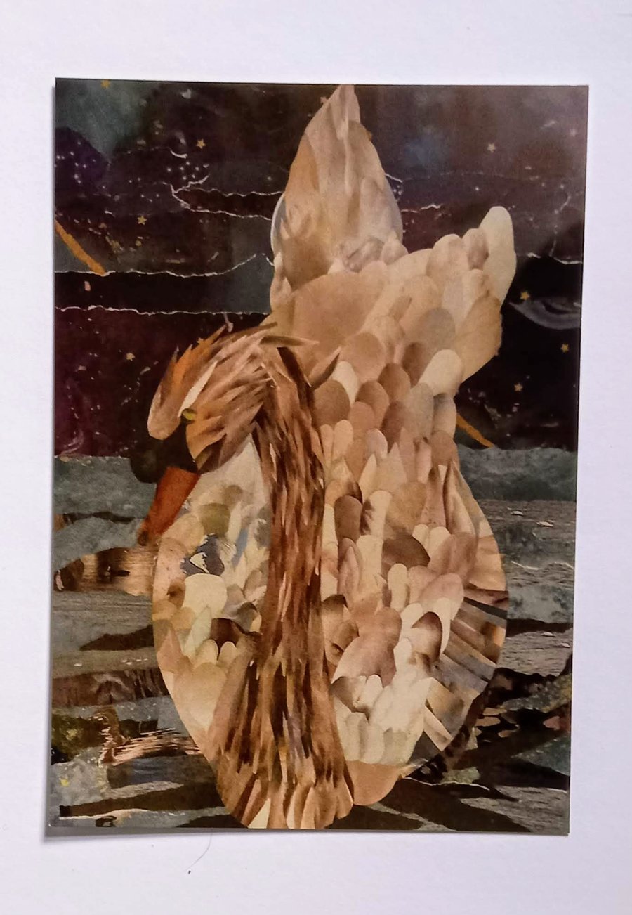 Swan Card 'Still Life'  A5 - Blank Greeting Card