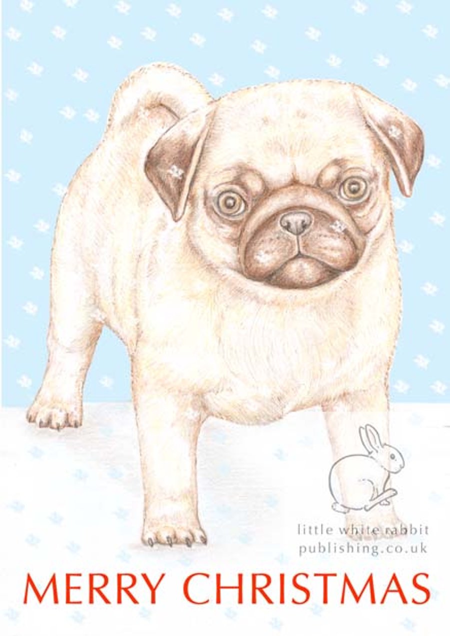 Titus the Pug - Christmas Card
