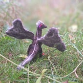 Dragons Make a Landscape