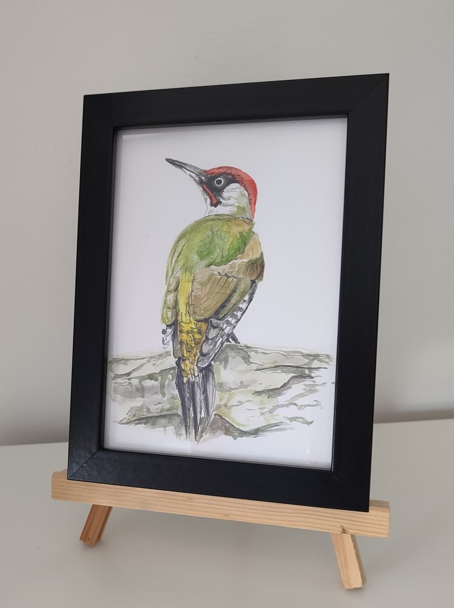 Original watercolour green woodpecker 