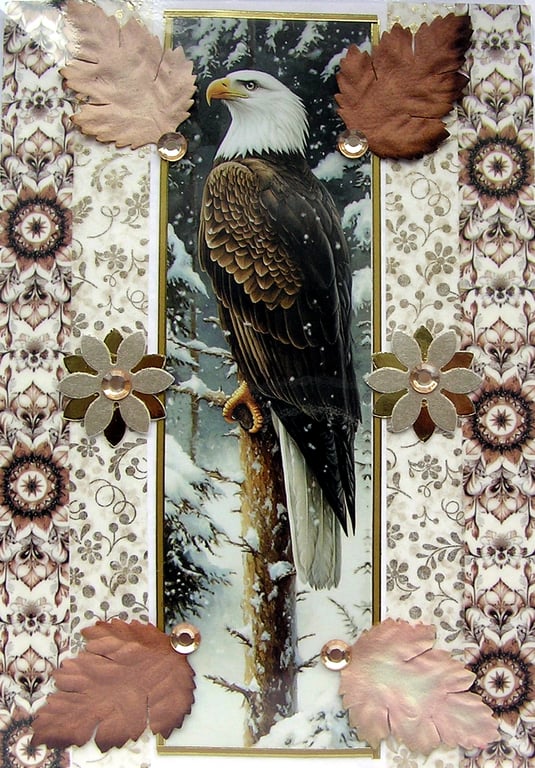 Eagle Wildlife Bird - Hand Crafted Decoupage Greeting Card - Blank - 3221