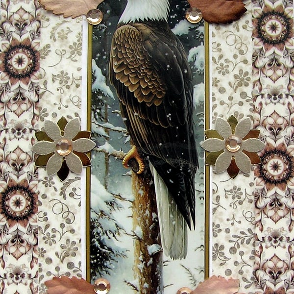 Eagle Wildlife Bird - Hand Crafted Decoupage Greeting Card - Blank - 3221