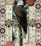 Eagle Wildlife Bird - Hand Crafted Decoupage Greeting Card - Blank - 3221