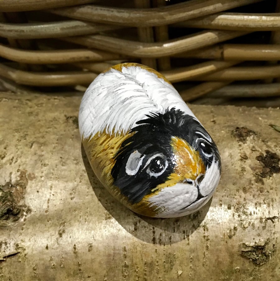 Guinea pig hand painted pebble garden rock art pet stone 