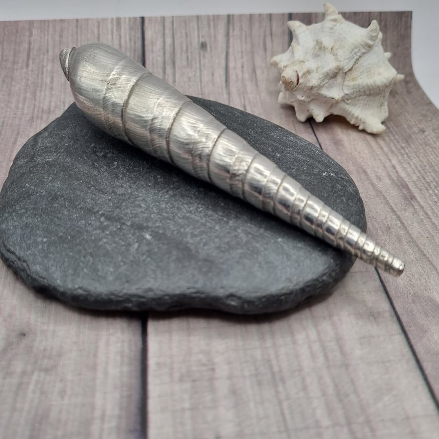 Real Auger seashell preserved in silver, beautiful ornament 