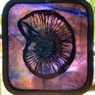 Ammonite stained glass light catcher 