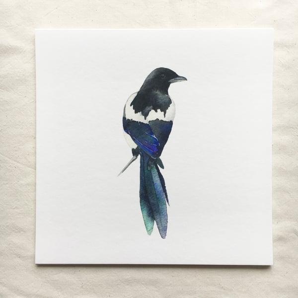 Watercolour magpie giclée print