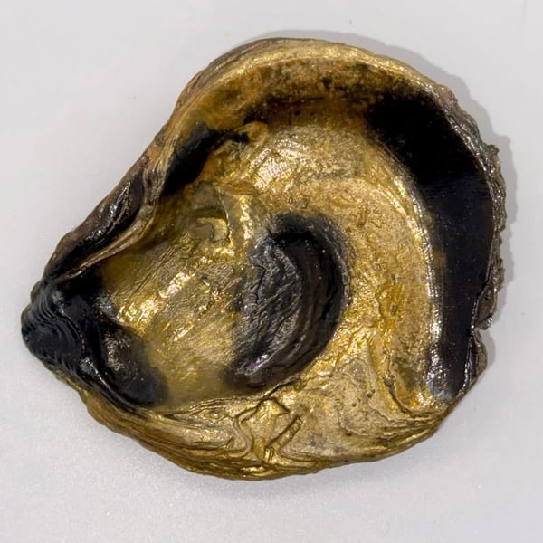 Oyster shell soap dish